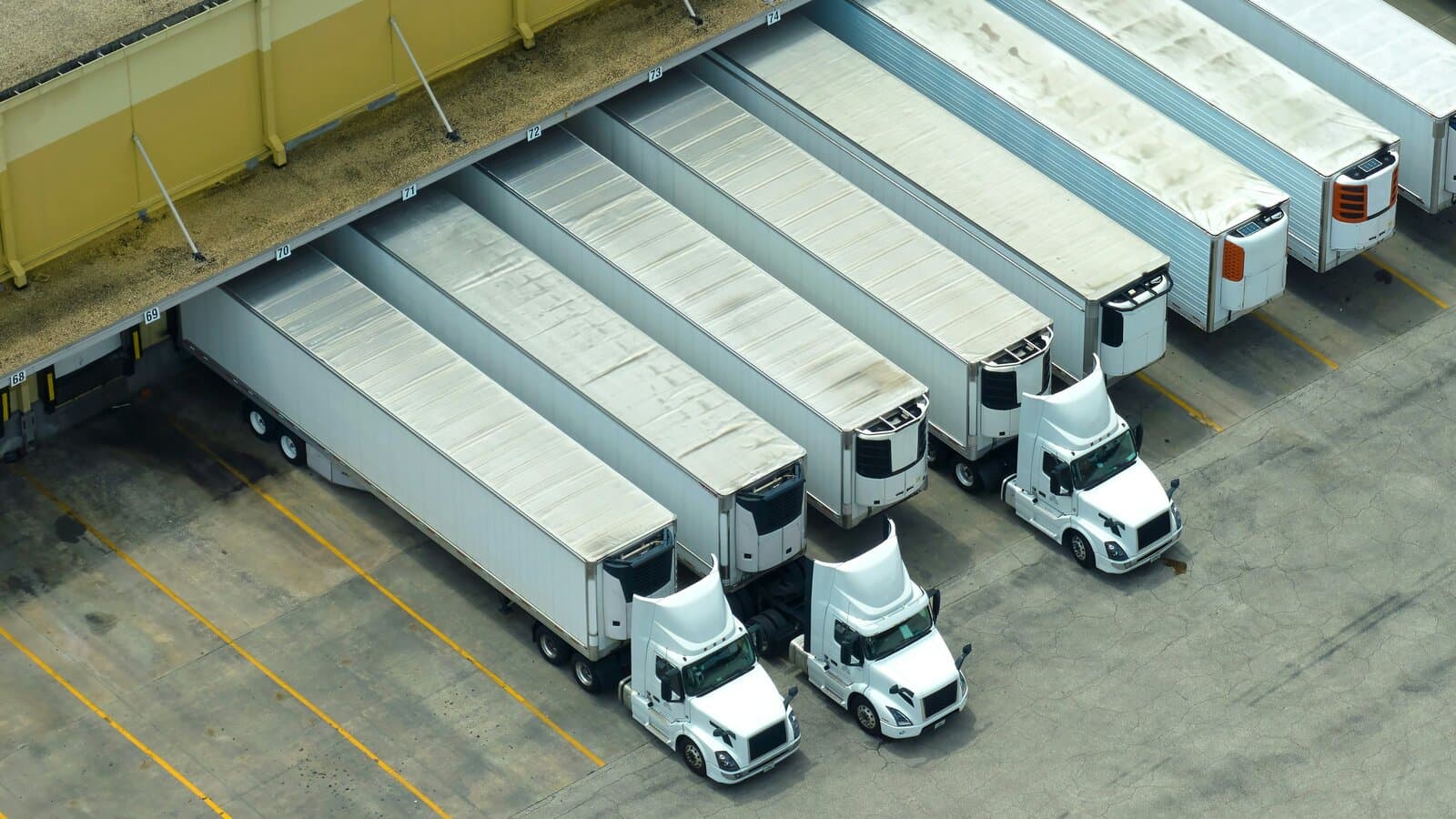 Distribution and logistics vehicles, illustrating the international industrial market served by the SAiFI Distributor Programme